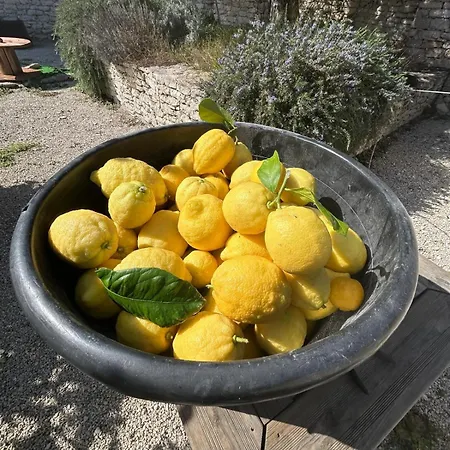 Bergerie