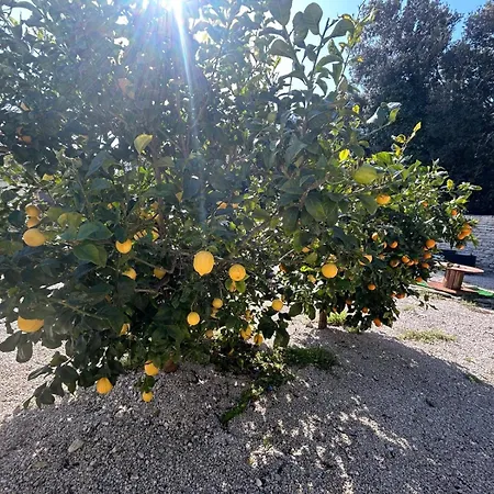 Semesterbostad Bergerie Bonifacio (Corsica)