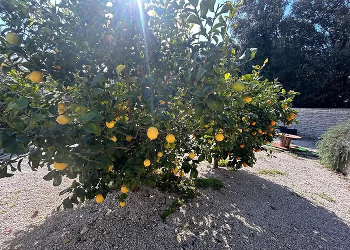 Prázdninový dům Bergerie Bonifacio (Corsica)